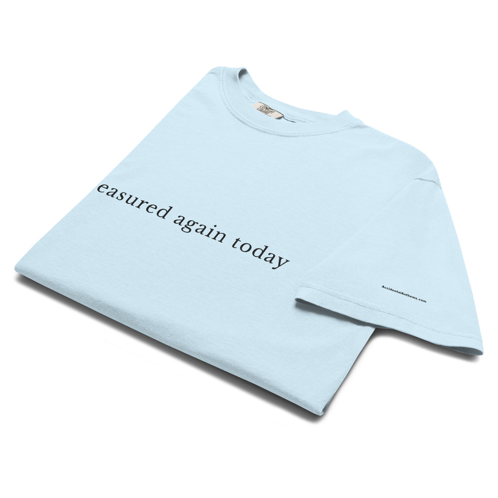 Measured Again Today — Premium Comfort Colors Unisex Tee in Chambray