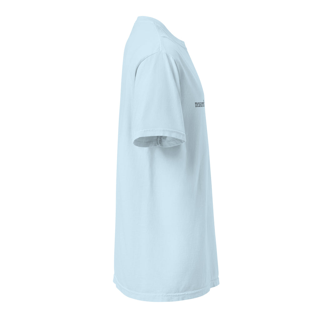 Measured Again Today — Premium Comfort Colors Unisex Tee in Chambray