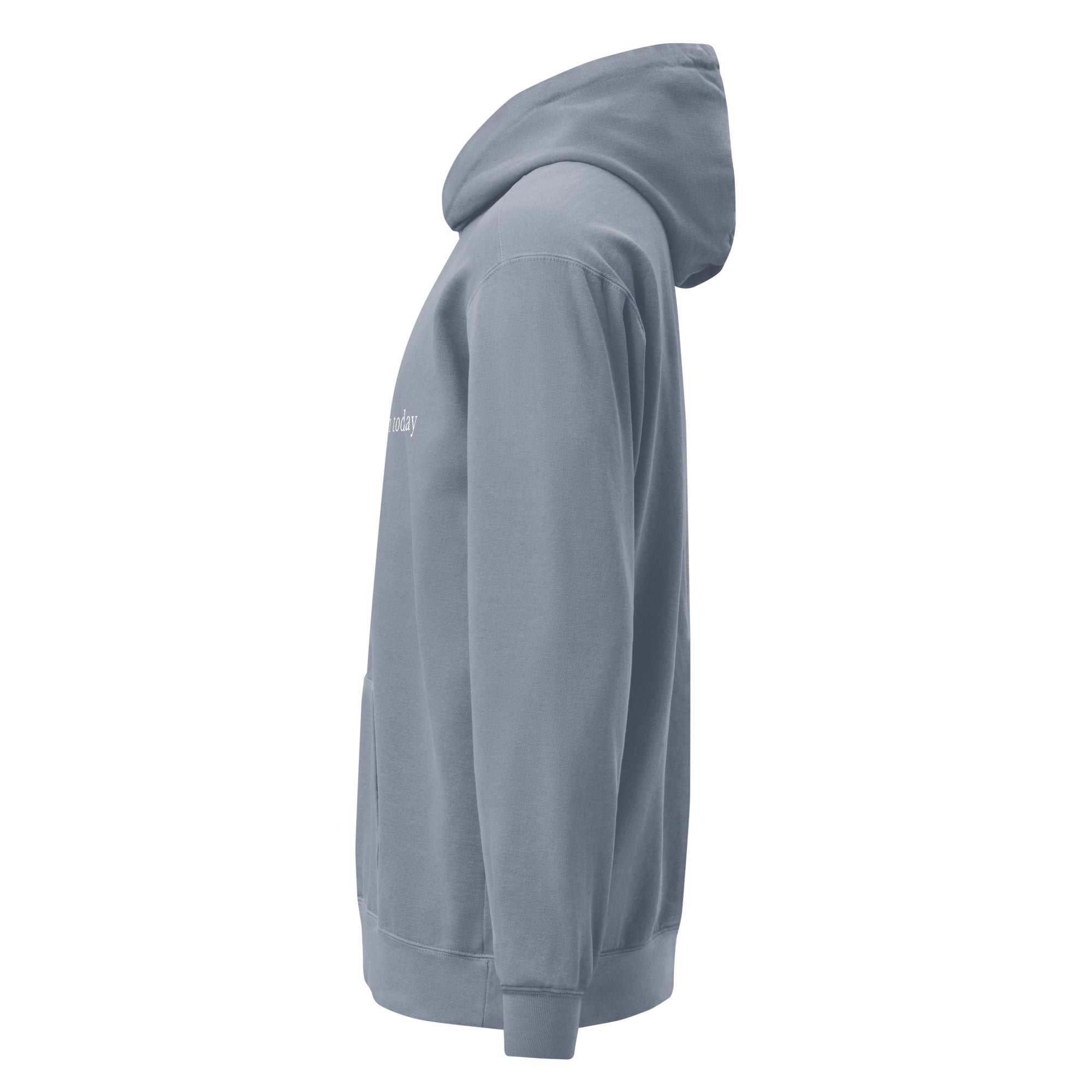 Measured Again Today — Premium Hoodie in Blue Jeans