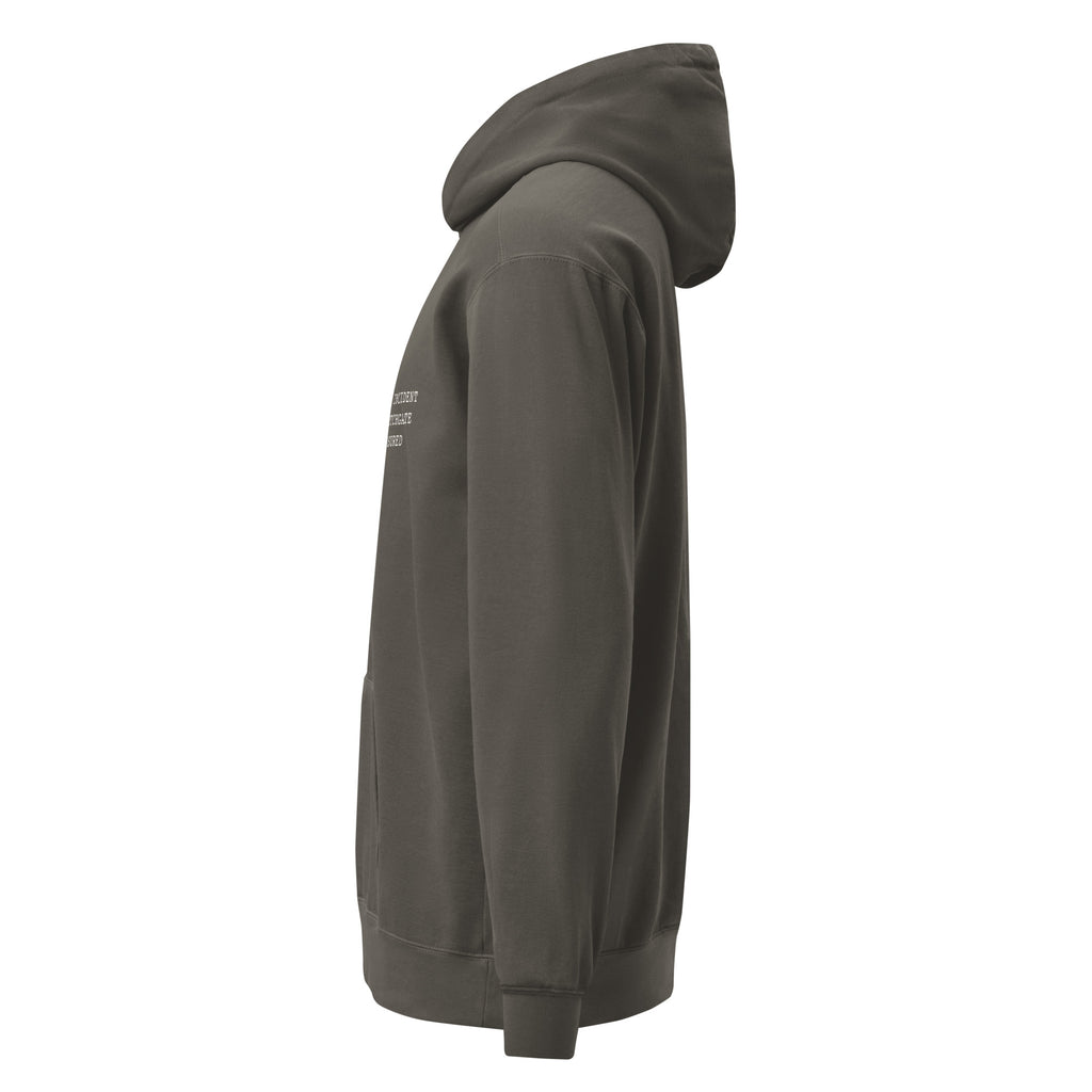 Classification: Crotchgate — Premium Comfort Colors Unisex Hoodie in Pepper