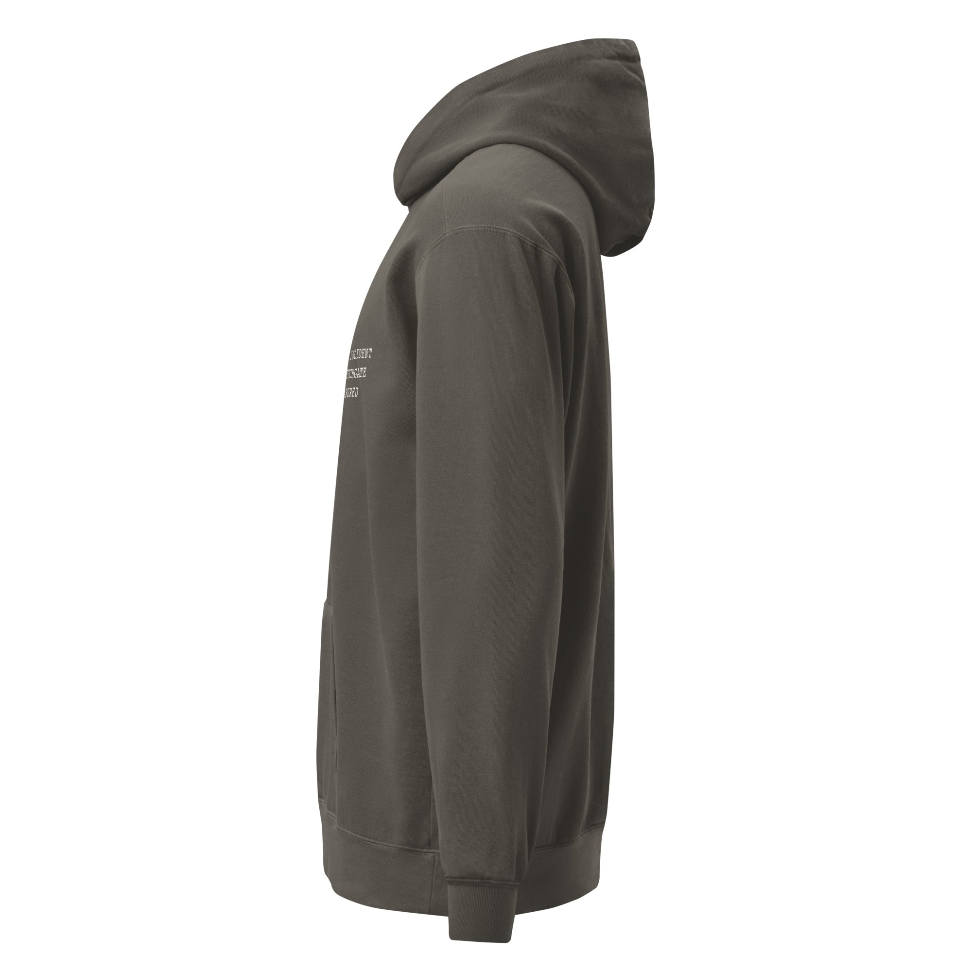 Classification: Crotchgate — Premium Comfort Colors Unisex Hoodie in Pepper